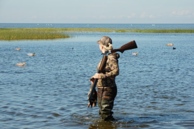 linnujaht-vesto-nõgel