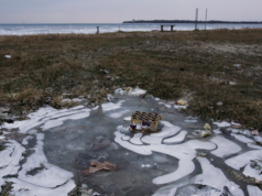 PRESSITEADE: Aastavahetusel tuleks vältida liigset müratekitamist