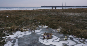 PRESSITEADE: Aastavahetusel tuleks vältida liigset müratekitamist