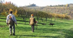 Osale kultuuriliste ökosüsteemide uuringus!