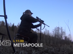 “Metsapoole” läheb sokujahile