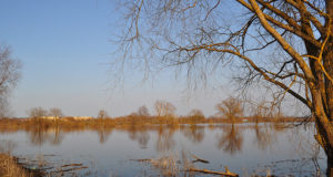 Metsades on olukord hull, kuid tööd tuleb jätkata