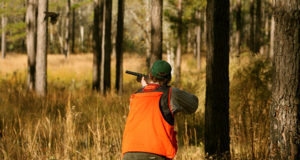 EJ 4/2018: Salaküttimine vajaks uurimist