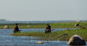 Jahimehed ja inspektsioon ei pea veelinnujahis küttimispiirangut mõttekaks