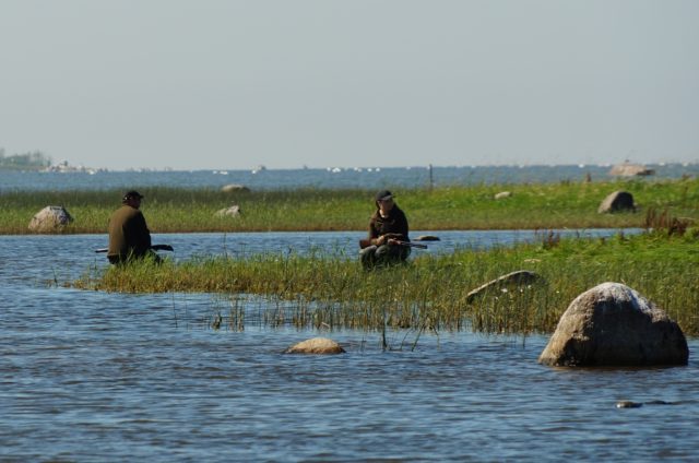 DSC00709-vesto-nõgel