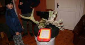 EJ 6/2017: Paruksarved põtradel