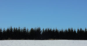 Jäädvusta oma Eesti minut!