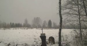 EJS palub abi hundiarvukuse määramisel