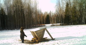 Esimesed karud on taliuinakust ärganud. Mida teha kui karu kohtad?