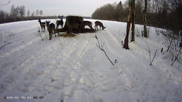 kitsed rajakaameras5