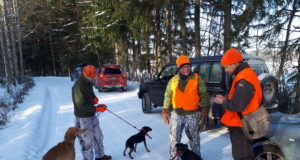 Mida tuleks teada jahikoera dokumentide kohta (uuendatud 02.05)