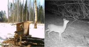 PILTUUDIS! Kitsed lugemas palvuseid