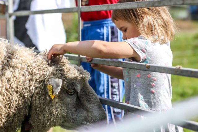 maaeluministeerium-avatud talud