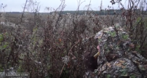 Jahisaate finaalis hakkab sulgi lendama (uuendatud 4.03)