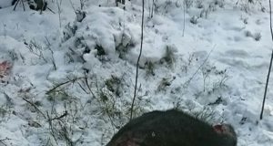 Jahimehed paluvad abi salaküttide leidmisel