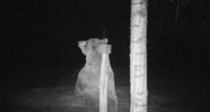 Raadio 4 kutsus EJSi külla