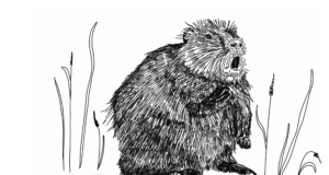 EJ2/2018: Kobraste lõksutamisest