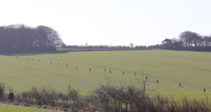 Maaomanikud saavad looduskaitseteemadel küsida tasuta õigusabi