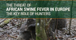 Brüsselis toimub seakatku konverents