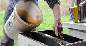 Saaremaa meetootjad pöördusid jahimeeste poole