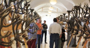 VIDEO! Läti trofeenäitusel näeb palju uhkeid hirvesarvi