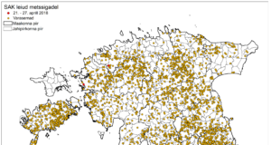 Sel aastal on tuvastatud 188 seakatku juhtumit
