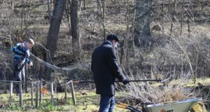 Keskkonnakuul kutsutakse puud istutama