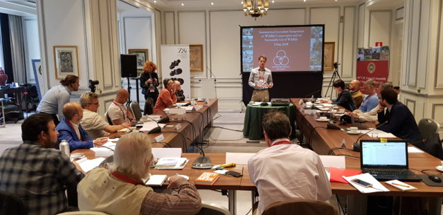 cic ajakirjanikekoosolek