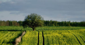 EL-i liikmesriigi esindajad otsisid koostöövõimalusi ÜPP-s