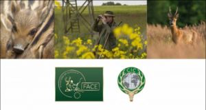 FACE ja CIC koguvad jahinduse toetuseks raha