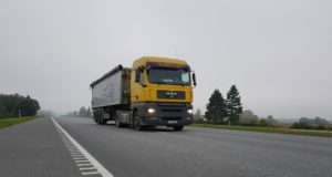 Julm käitumine metsloomade suhtes