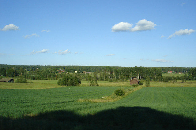 land, maa, mets, loodus