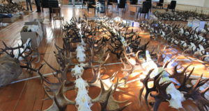 Viljandis on tulemas jahitrofeede hindamine