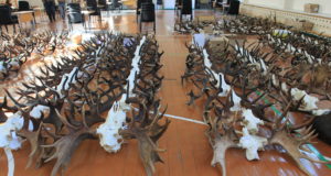 Trofeede impordikeeld rikub Euroopa seadusi