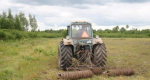 Söödapõllud ulukitele