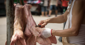 Muudetakse rümpade kvaliteediklasside määramise nõudeid