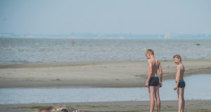 Hülgejaht on ka sel jahihooajal tagasihoidlik