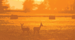 Jahimehed kutsuvad EV100 looduse päeval külla