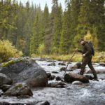 avastaja100108416_m01