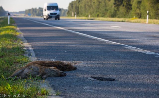 hukkunud pere_karask2