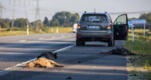 Tallinn-Tartu maanteel hukkus avariis metsseapere