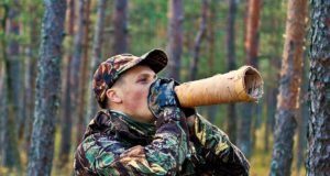 Tartumaal tehakse põdrapeibutamise koolitusi