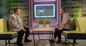 Ringvaade uuris albiino loomade kohta