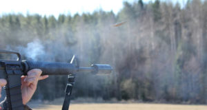 Tallinnas toimub summutite demopäev!