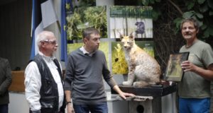 Vereta jahi võitjad selgunud