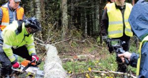 Ilmus õppelehe Sinu Mets sügisnumber