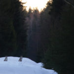 034_1350 ema ja poeg