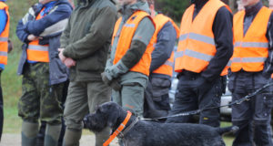 1. oktoobril algas aju- ja koertega jahi hooaeg