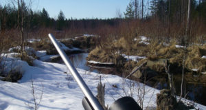 Lümanda Lihaveis palub tuge jahimeestelt