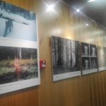 43658087_300048627495367_2481766720788758528_n